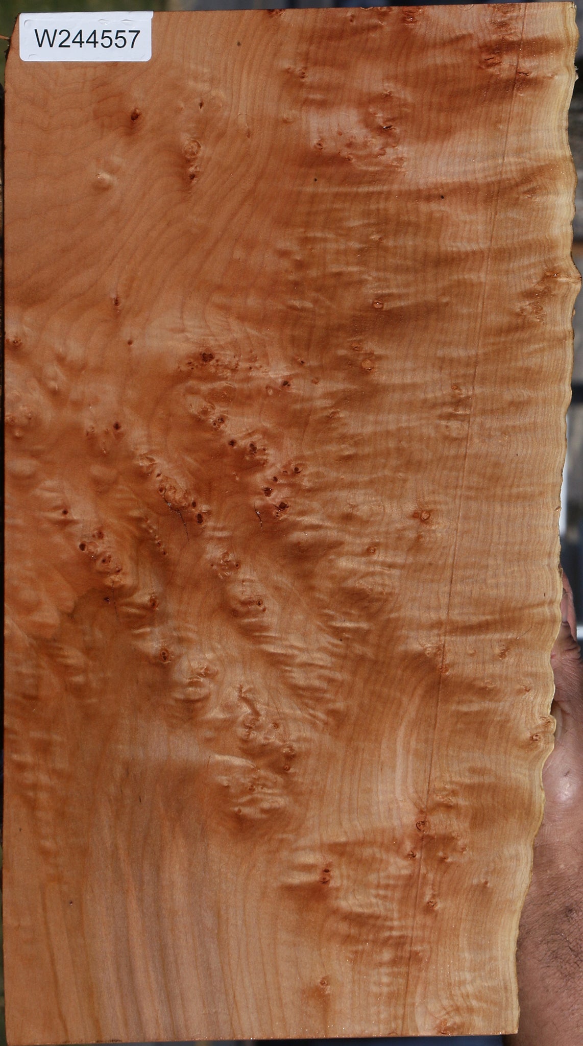 Maple Burl Live Edge Lumber