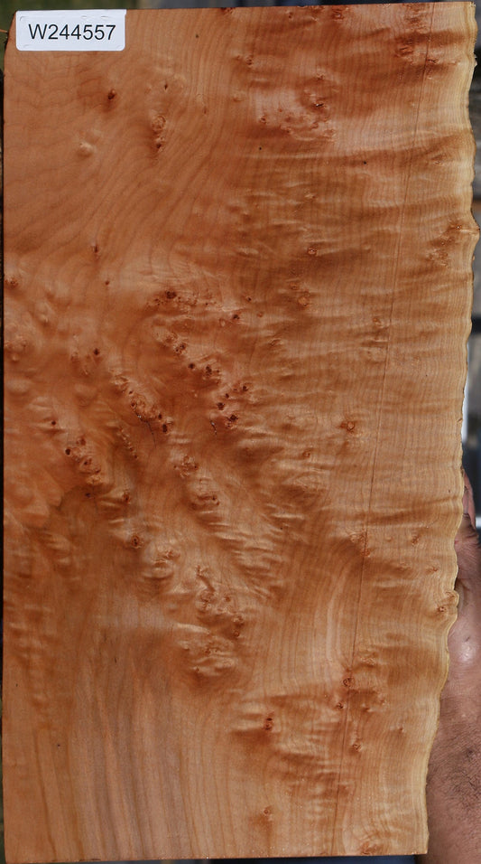 Maple Burl Live Edge Lumber