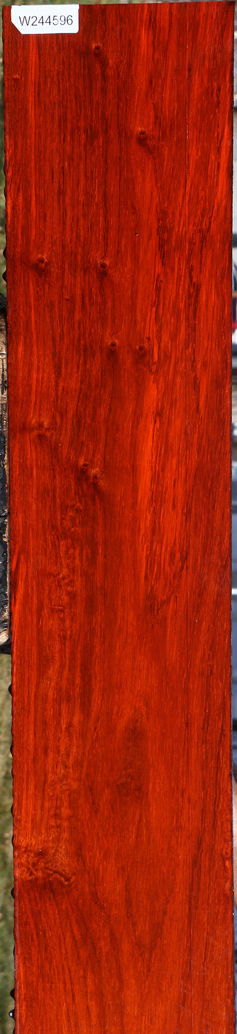 Figured Padauk Lumber