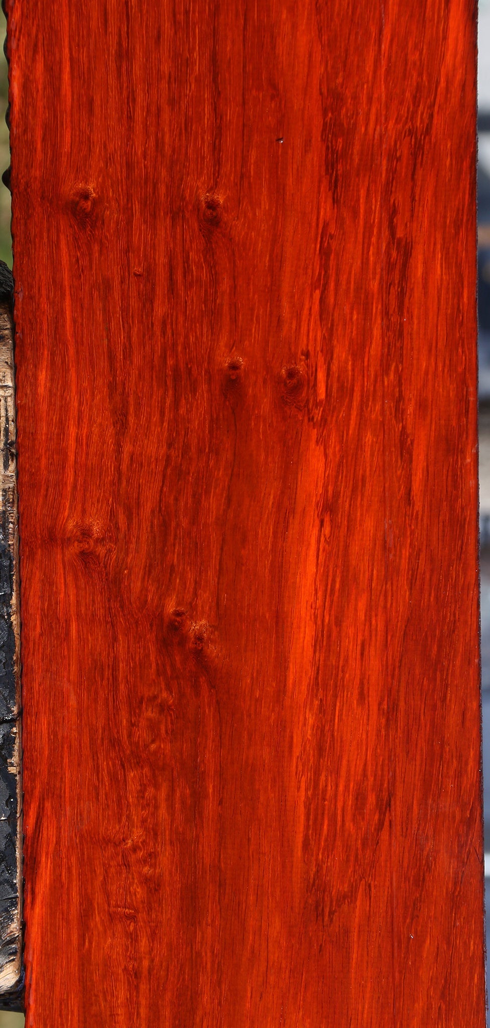 Figured Padauk Lumber