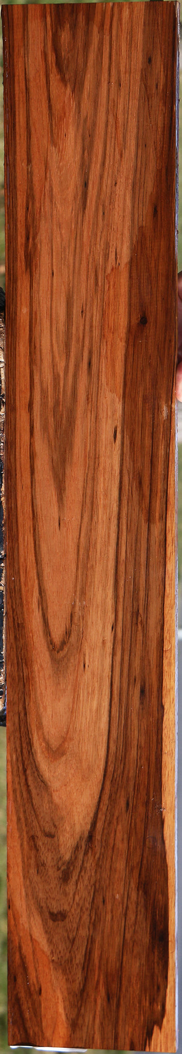 Monterillo Rosewood Micro Lumber