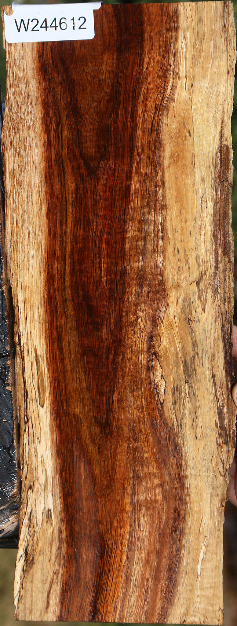 Hawaiian Koa Live Edge Micro Lumber