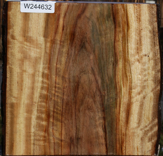 Figured Camphor Live Edge Bowl Blank