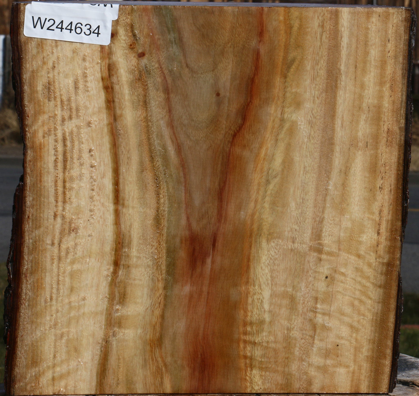 Figured Camphor Live Edge Bowl Blank