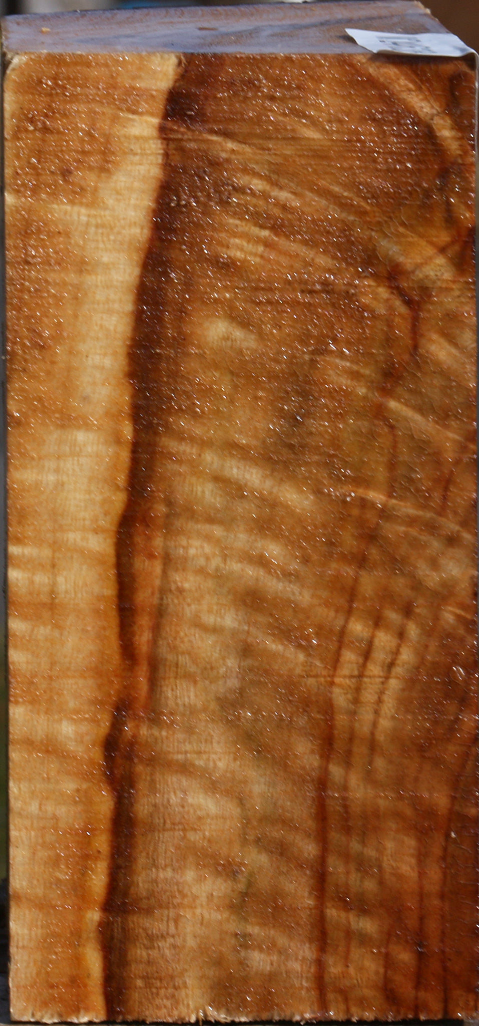 Extra Fancy Camphor Live Edge Bowl Blank