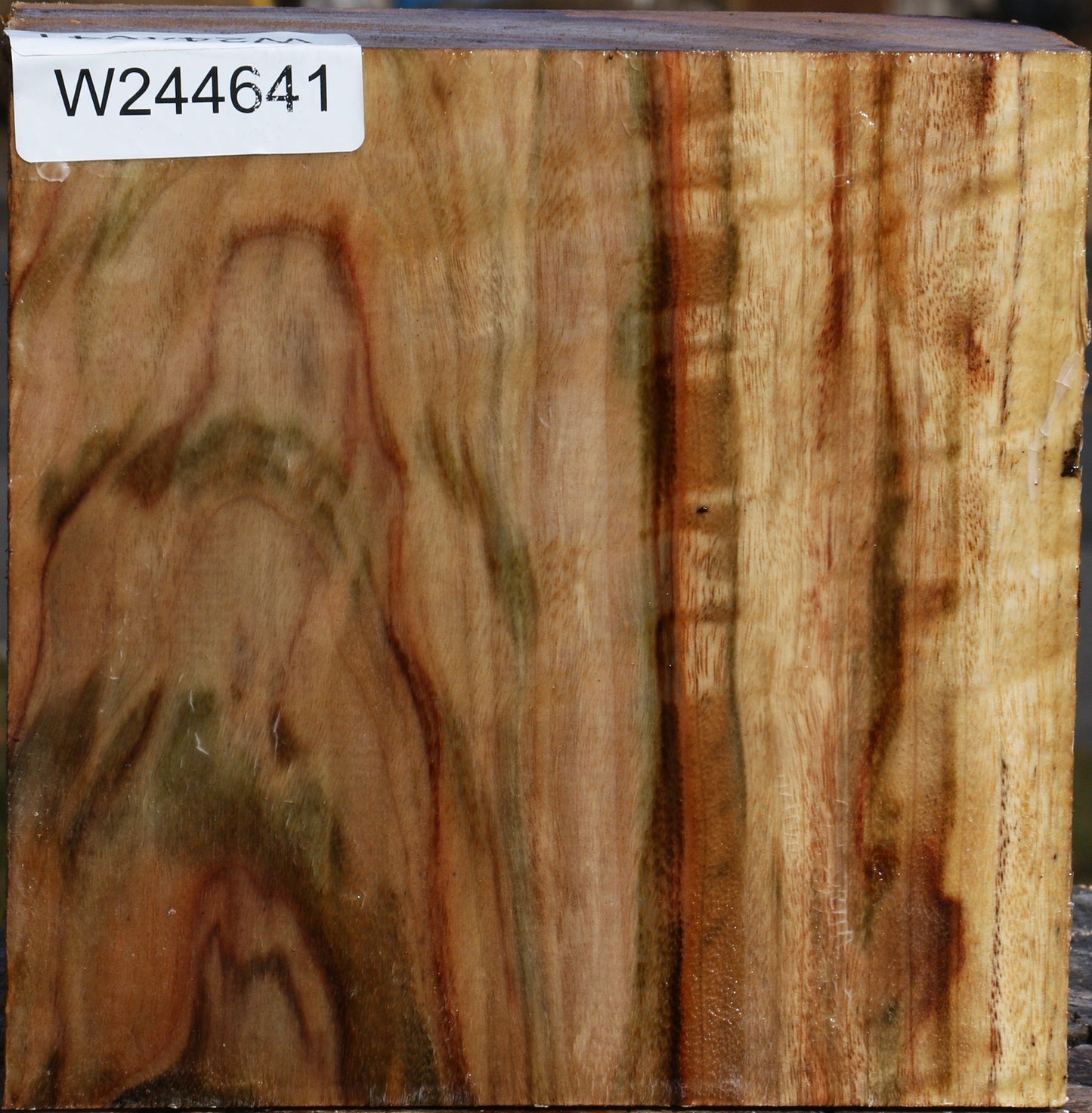 Figured Camphor Bowl Blank