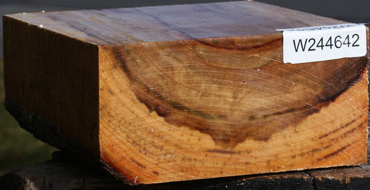 Figured Camphor Bowl Blank