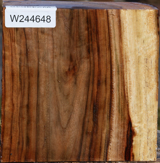 Figured Camphor Bowl Blank