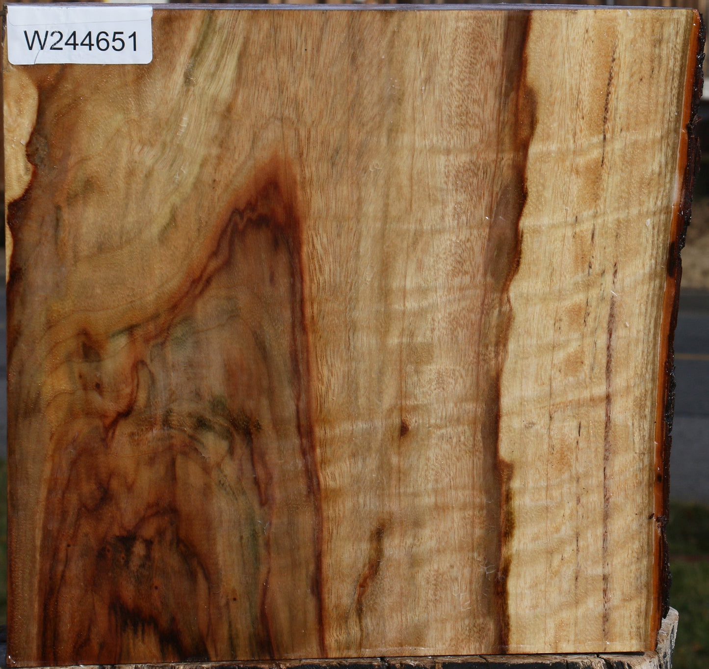 Figured Camphor Live Edge Platter Blank