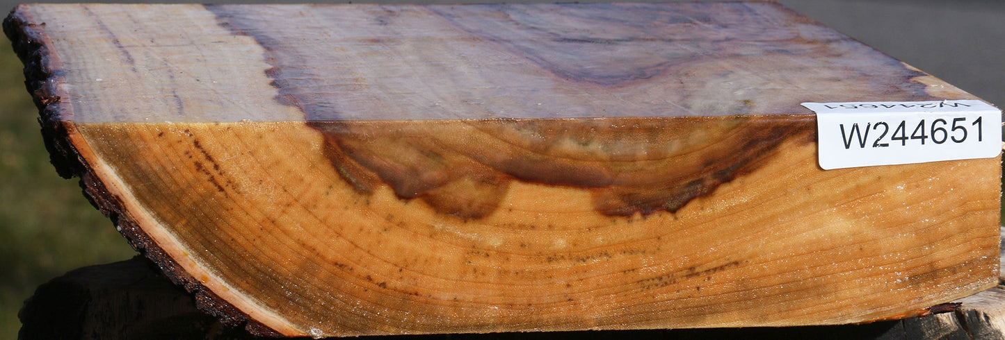 Figured Camphor Live Edge Platter Blank