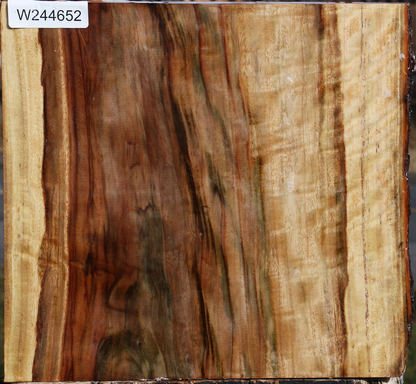 Figured Camphor Live Edge Platter Blank