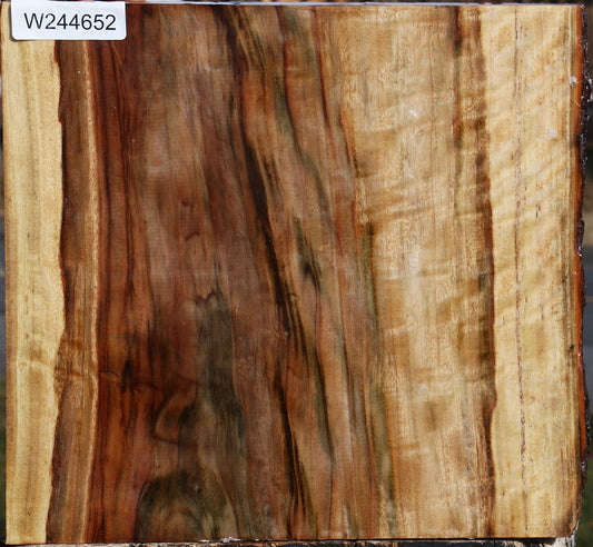 Figured Camphor Live Edge Platter Blank