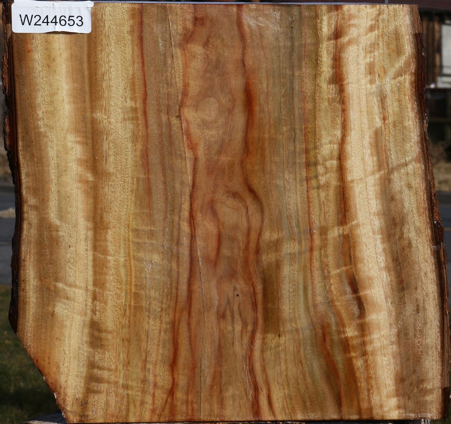 Figured Camphor Live Edge Bowl Blank