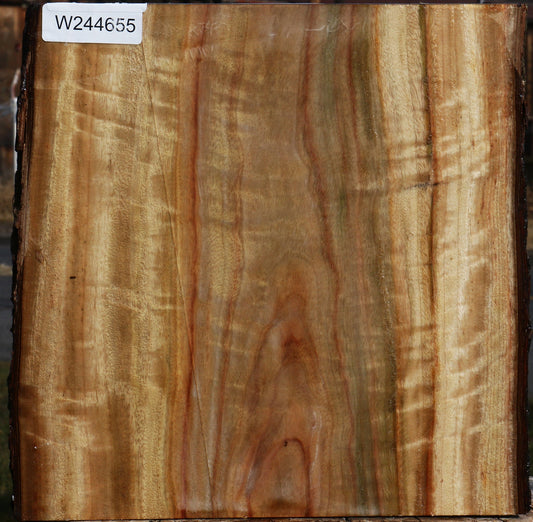 Figured Camphor Live Edge Bowl Blank