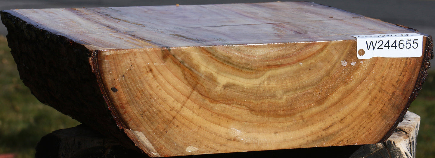 Figured Camphor Live Edge Bowl Blank