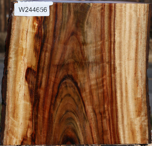 Figured Camphor Live Edge Bowl Blank