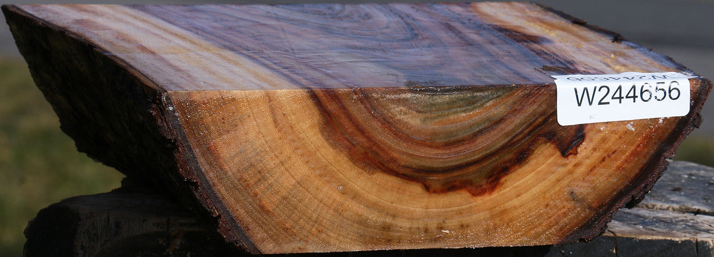 Figured Camphor Live Edge Bowl Blank