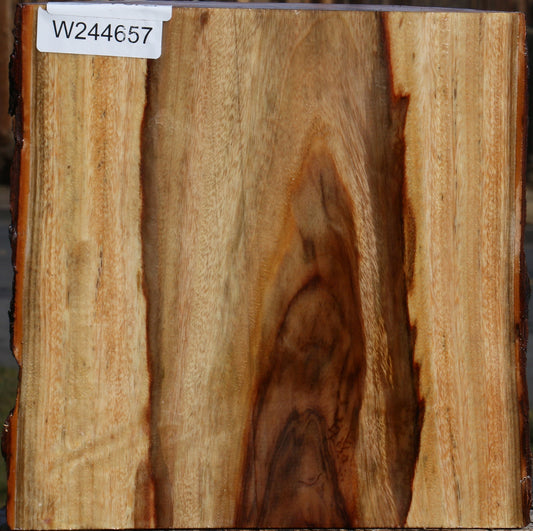 Camphor Live Edge Bowl Blank