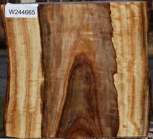 Figured Camphor Live Edge Platter Blank