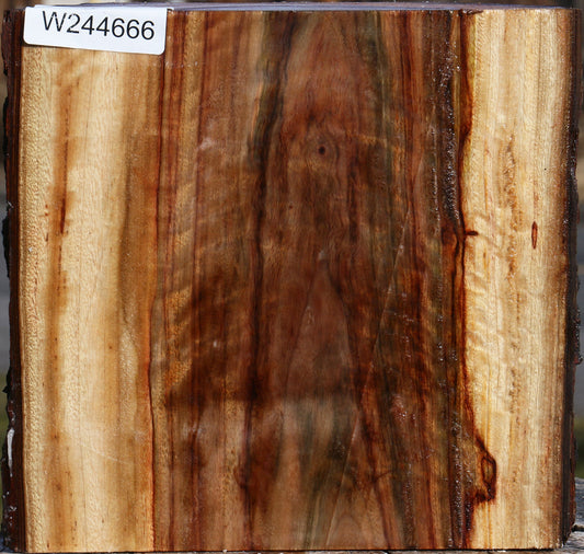 Figured Camphor Live Edge Bowl Blank