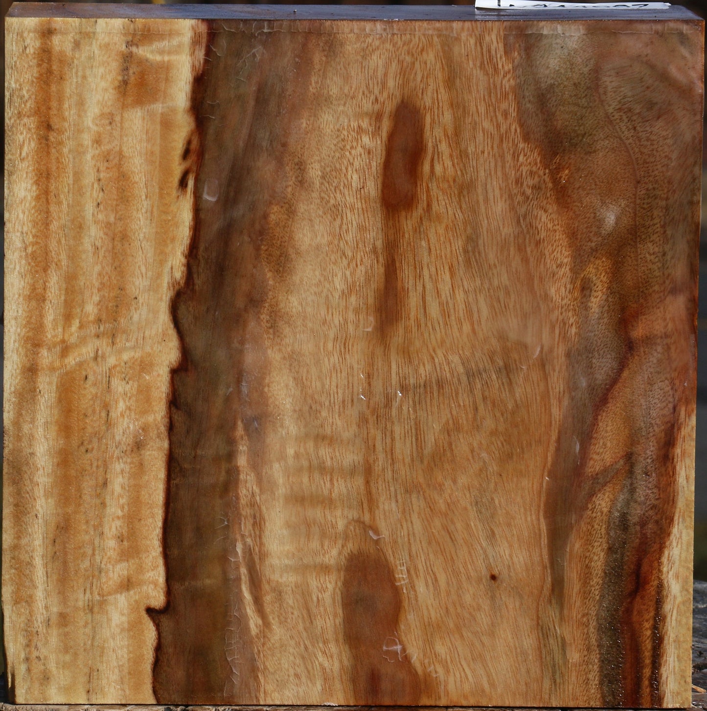 Extra Fancy Camphor Bowl Blank