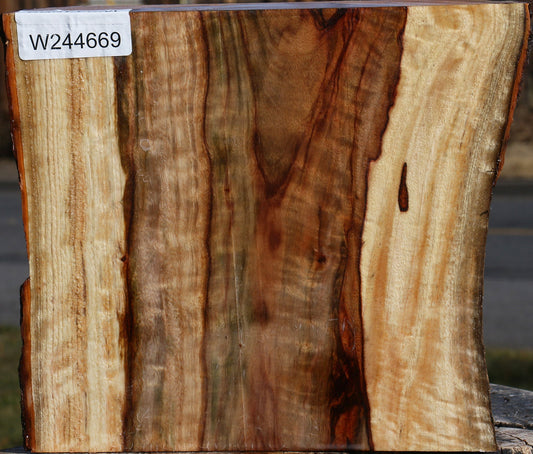 Figured Camphor Live Edge Platter Blank