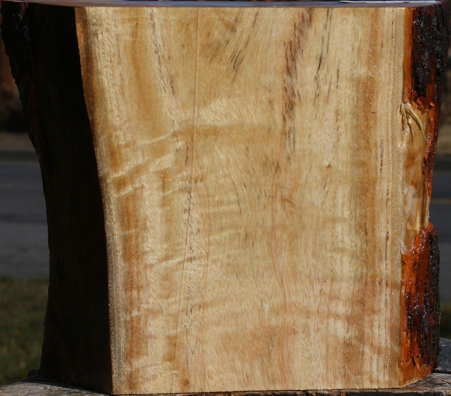 Figured Camphor Live Edge Platter Blank