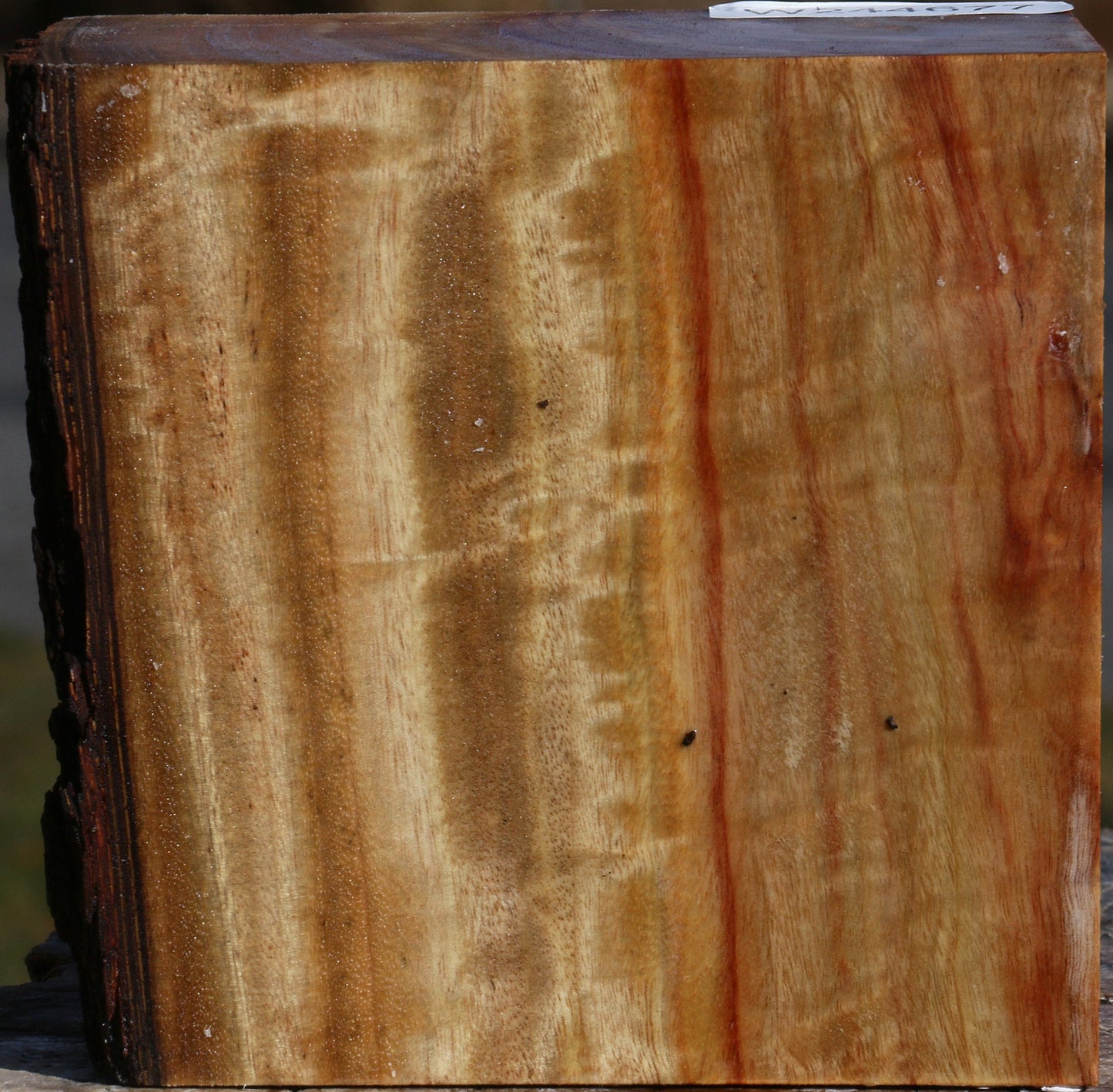 Figured Camphor Live Edge Bowl Blank