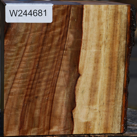 Figured Camphor Live Edge Bowl Blank