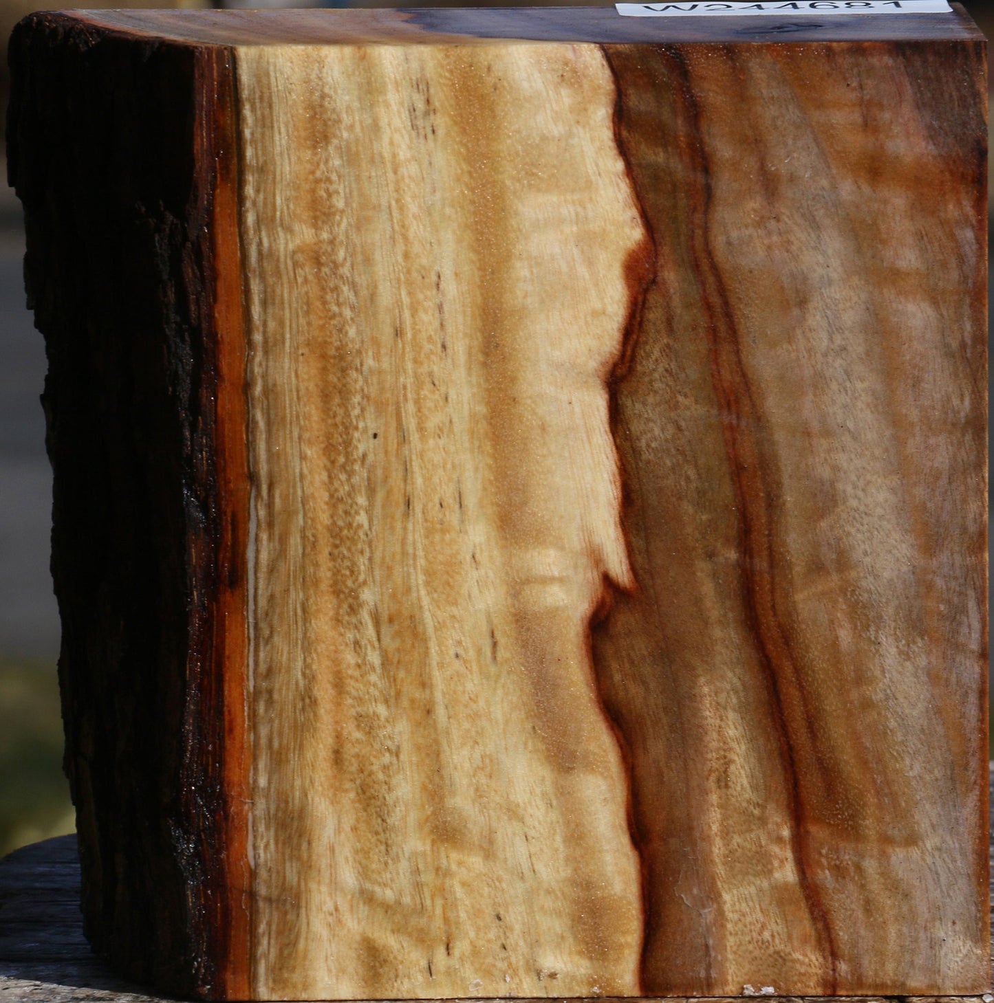 Figured Camphor Live Edge Bowl Blank