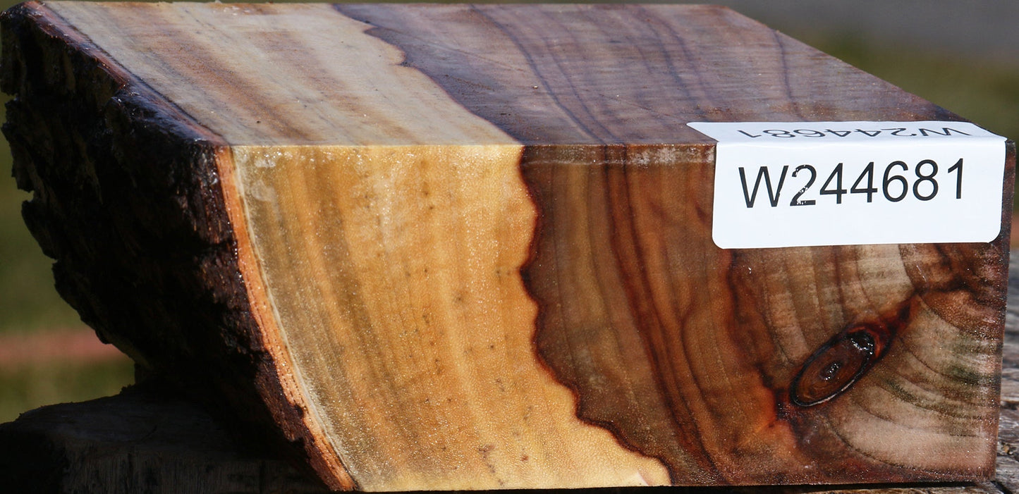 Figured Camphor Live Edge Bowl Blank