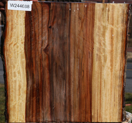 Figured Camphor Live Edge Platter Blank