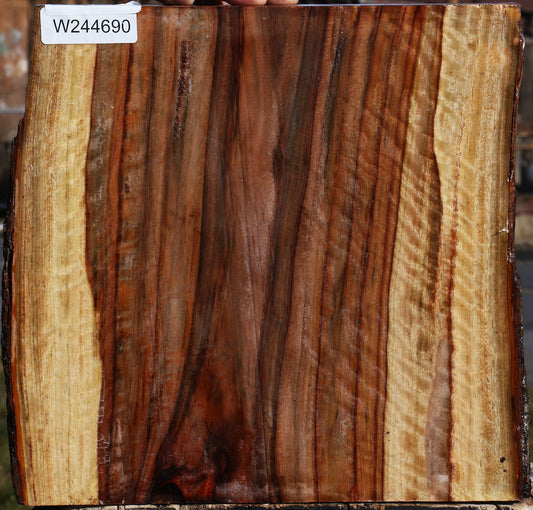 Extra Fancy Camphor Live Edge Platter Blank