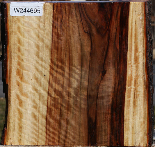 Extra Fancy Camphor Live Edge Platter Blank