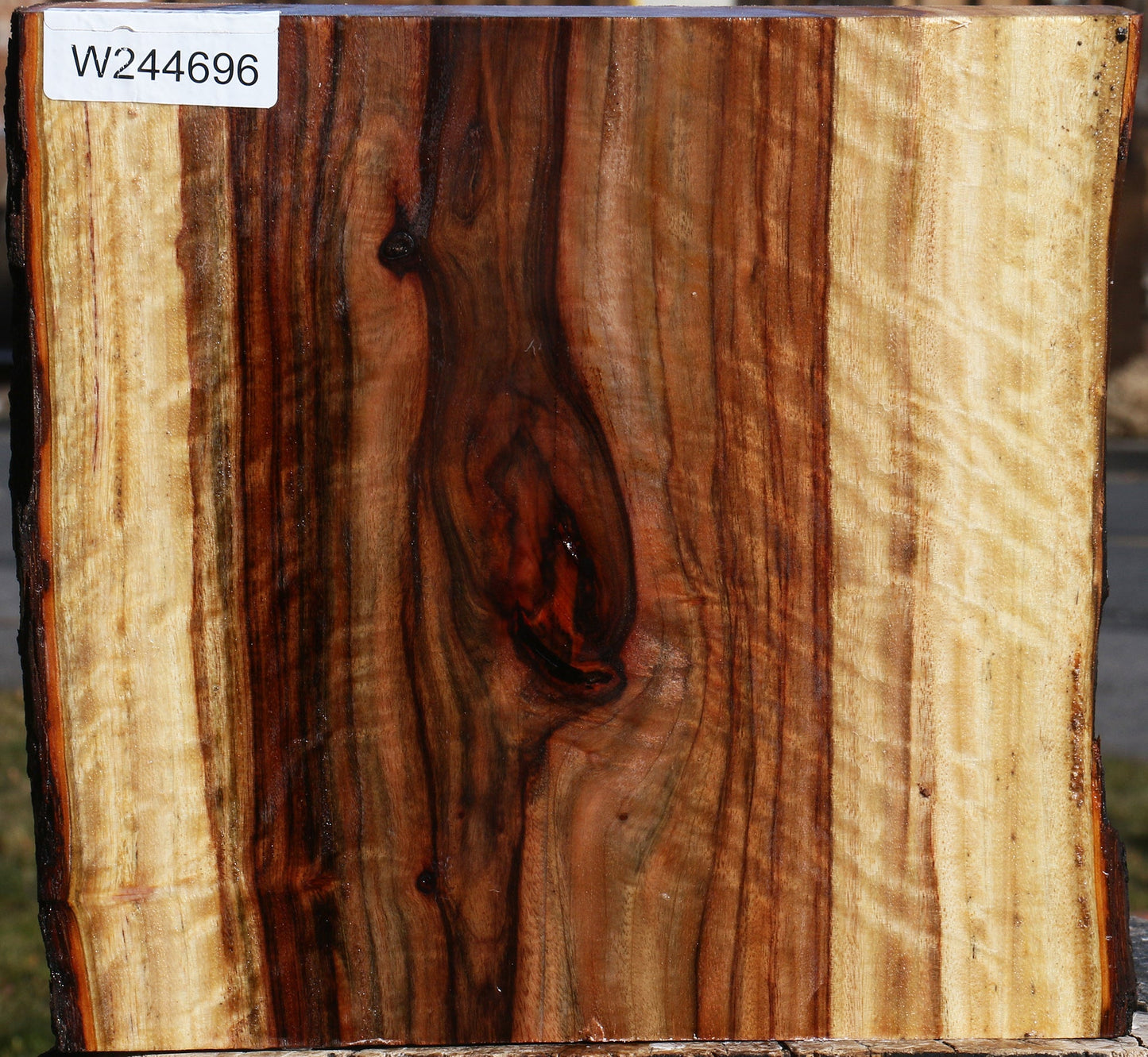 Extra Fancy Camphor Live Edge Platter Blank