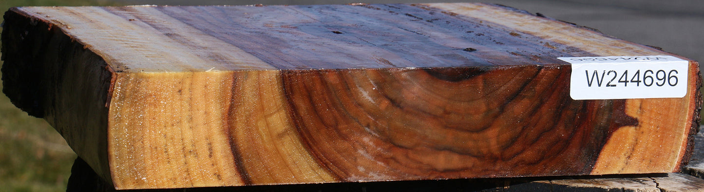 Extra Fancy Camphor Live Edge Platter Blank