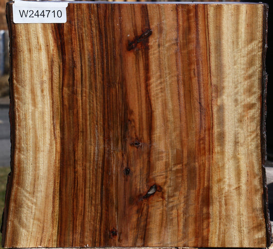 Extra Fancy Camphor Live Edge Bowl Blank