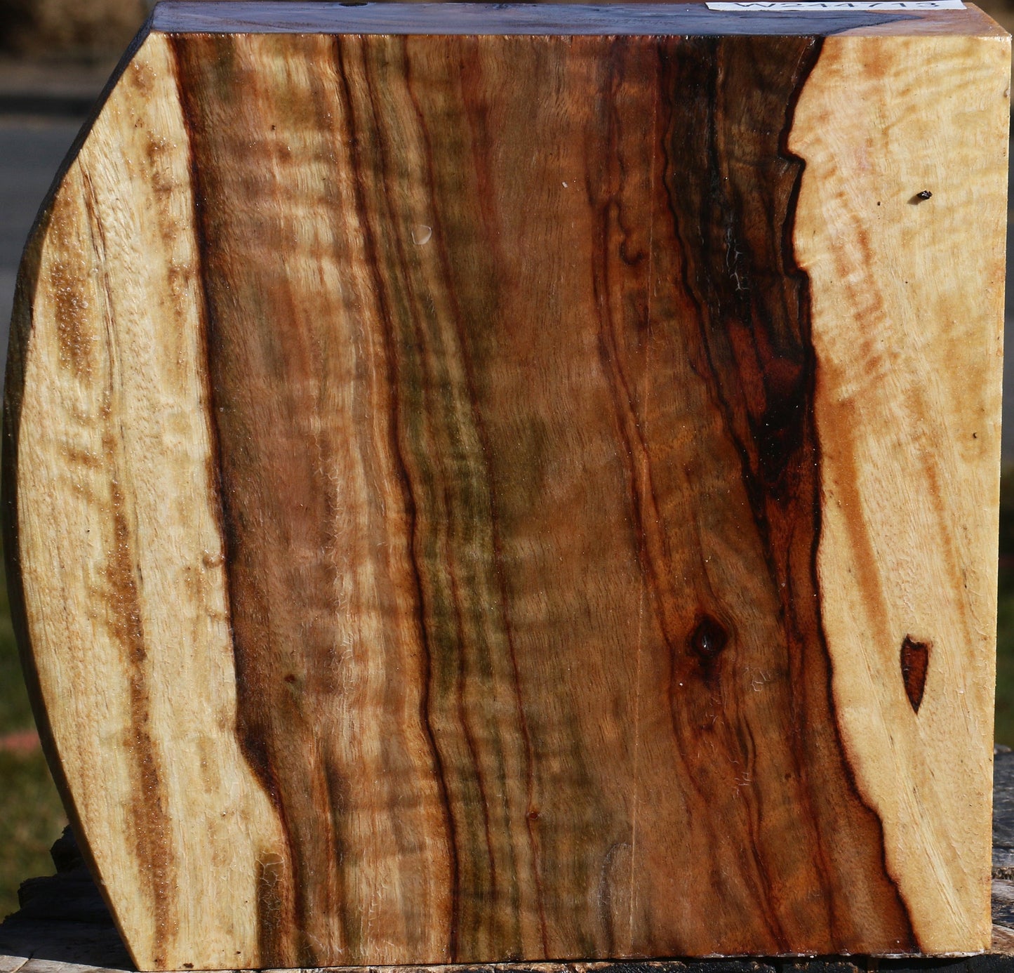 Extra Fancy Camphor Bowl Blank