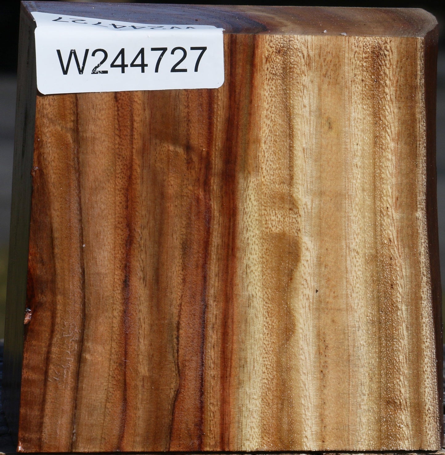 Extra Fancy Camphor Live Edge Bowl Blank