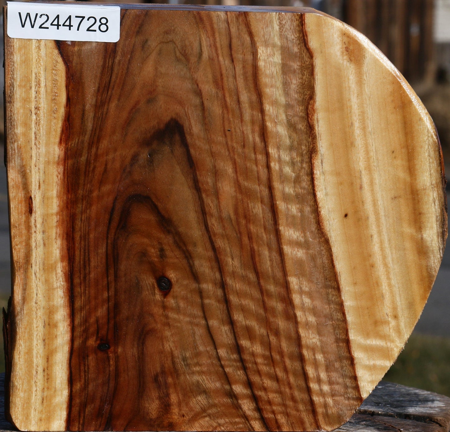 Extra Fancy Camphor Live Edge Bowl Blank