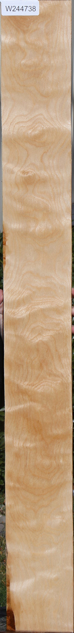 Curly Birch Lumber