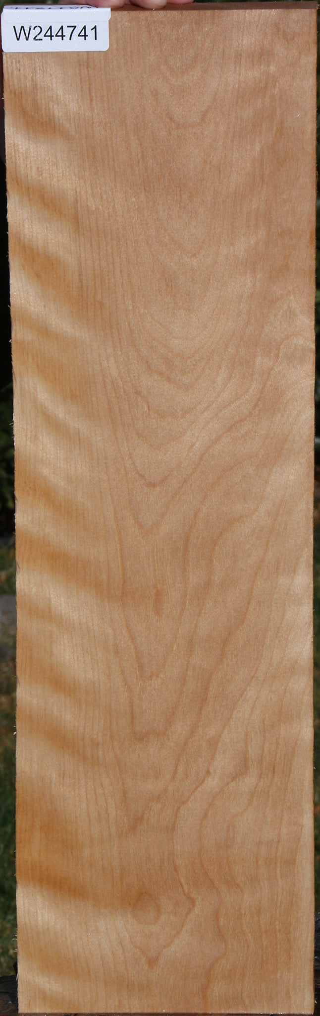 Curly Birch Lumber