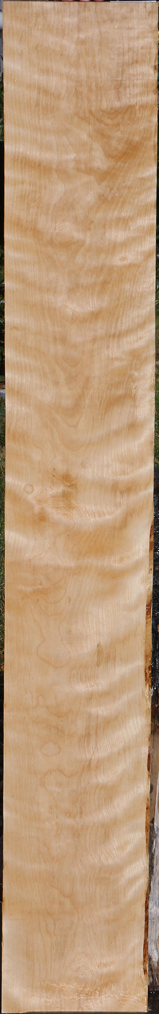 Curly Birch Lumber