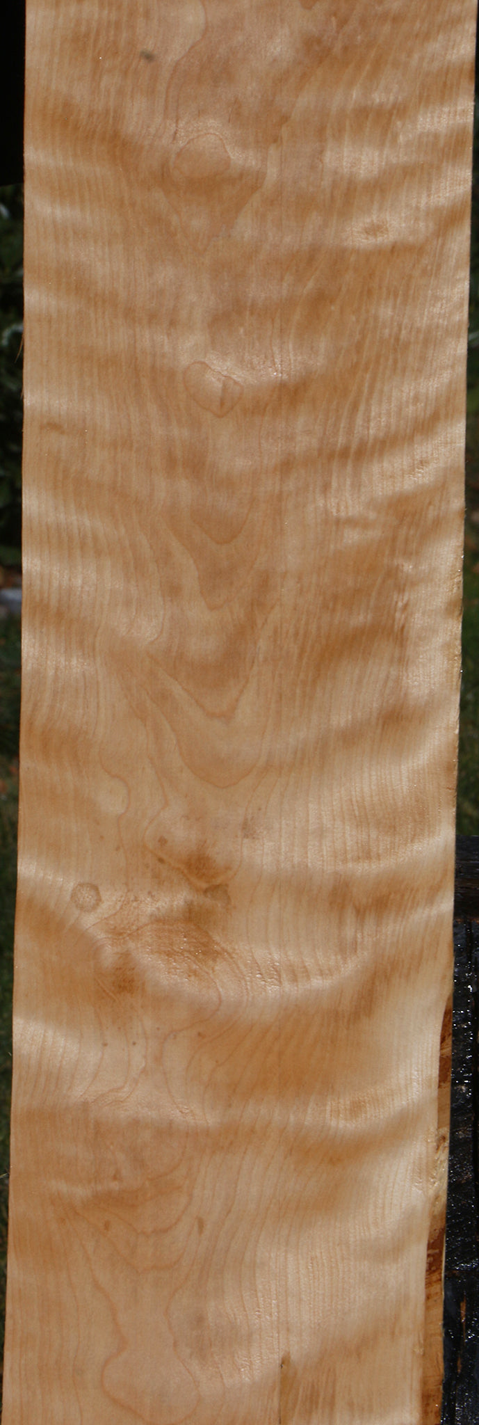 Curly Birch Lumber