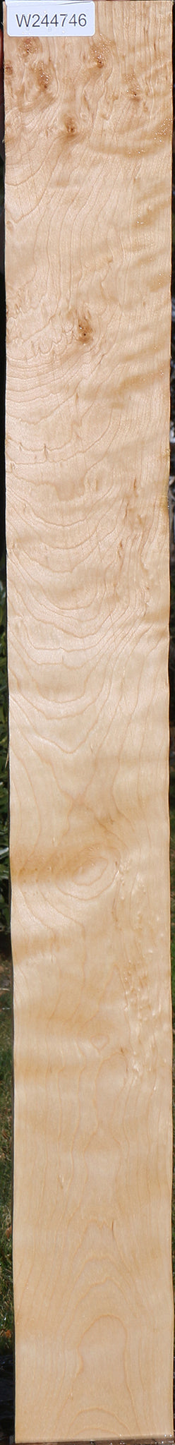 Curly Birch Lumber