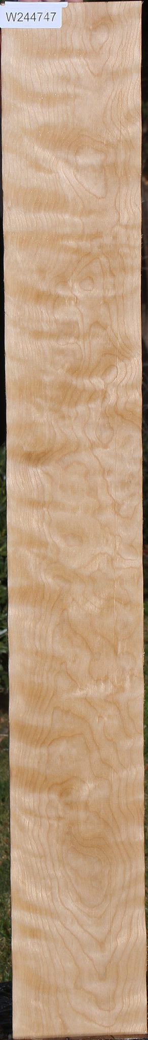Curly Birch Lumber