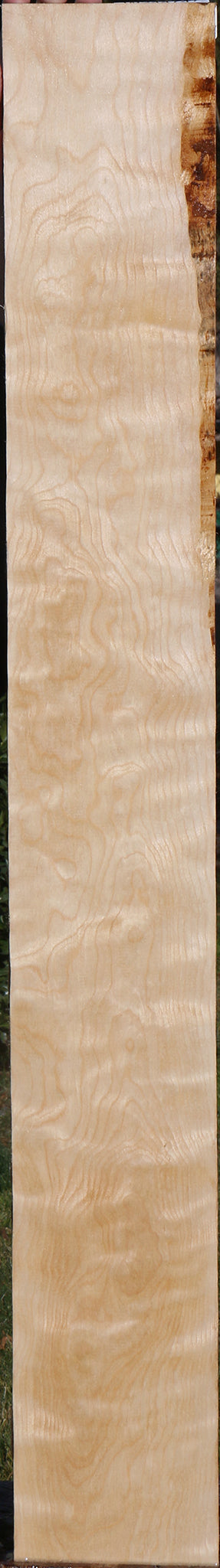 Curly Birch Lumber