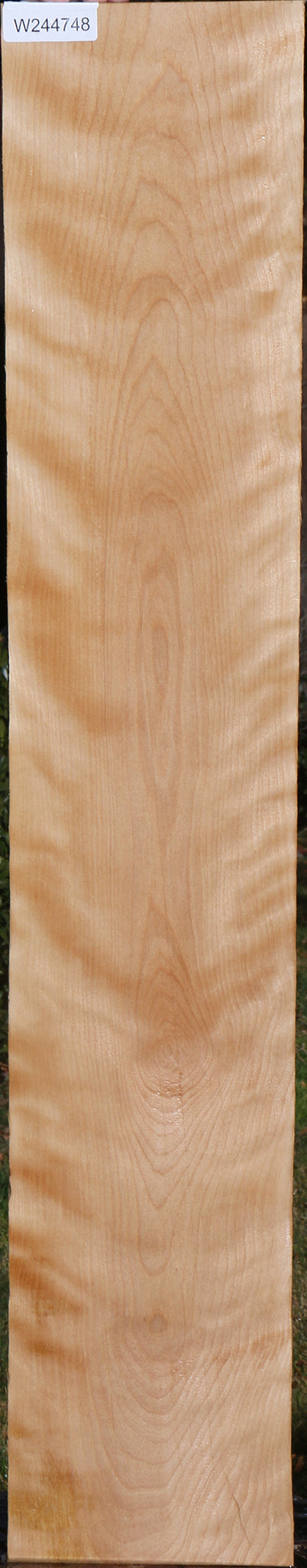 Curly Birch Lumber