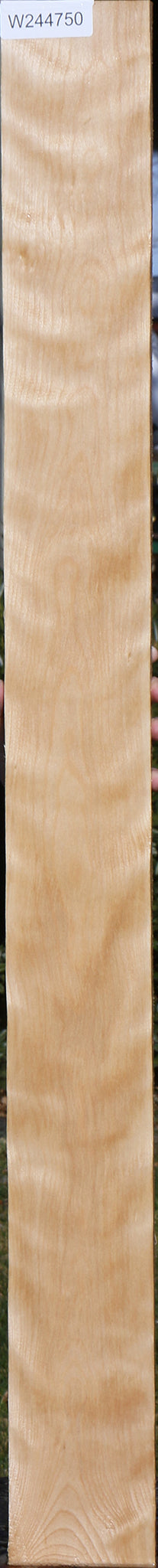 Curly Birch Lumber