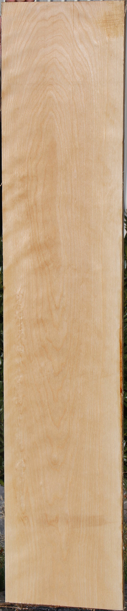 Curly Birch Lumber